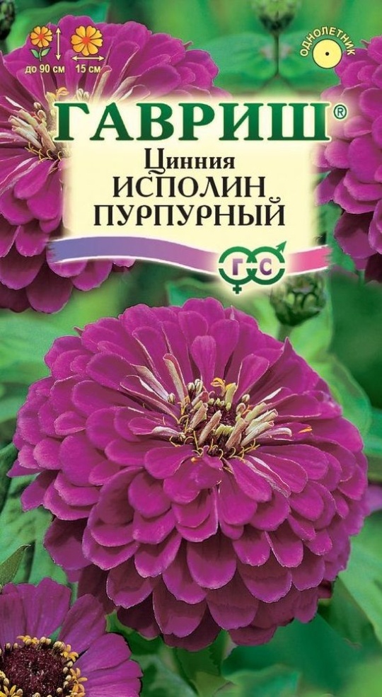 Семена Цинния (Гавриш) Исполин Пурпурный 0,3гр