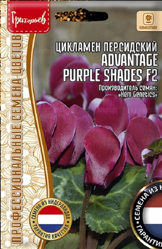 Семена Цикламен (Редкие семена) Преимущество фиолетовых оттенков Advantage Purple Shades 3шт