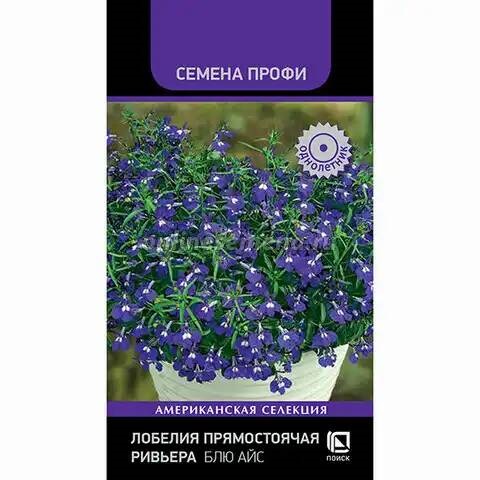Семена Лобелия (Поиск) Ривьера Блю Айс 10шт