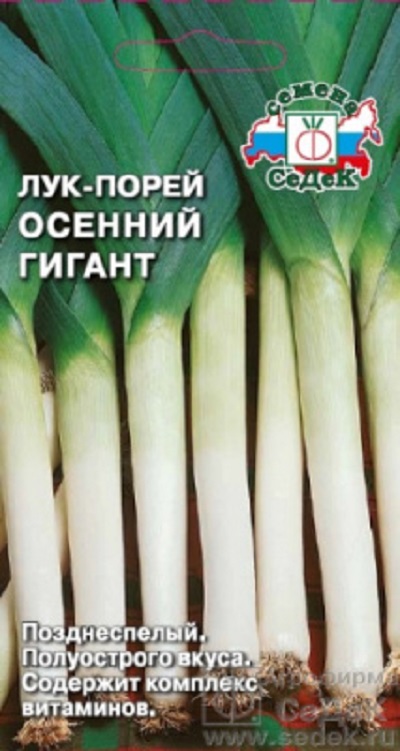 Семена Лук Осенний гигант (Седек) порей 1гр