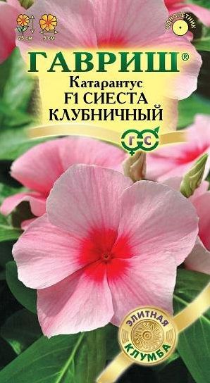 Семена Катарантус (Гавриш) Сиеста клубничный 5шт