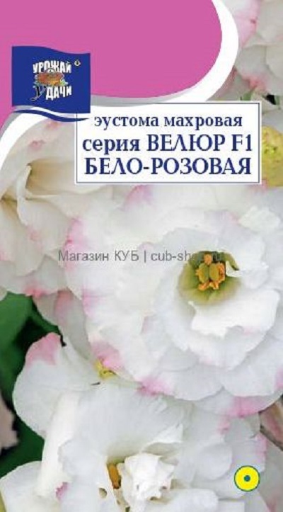 Семена Эустома (Урожай Удачи) Велюр бело-розовая 0,05г
