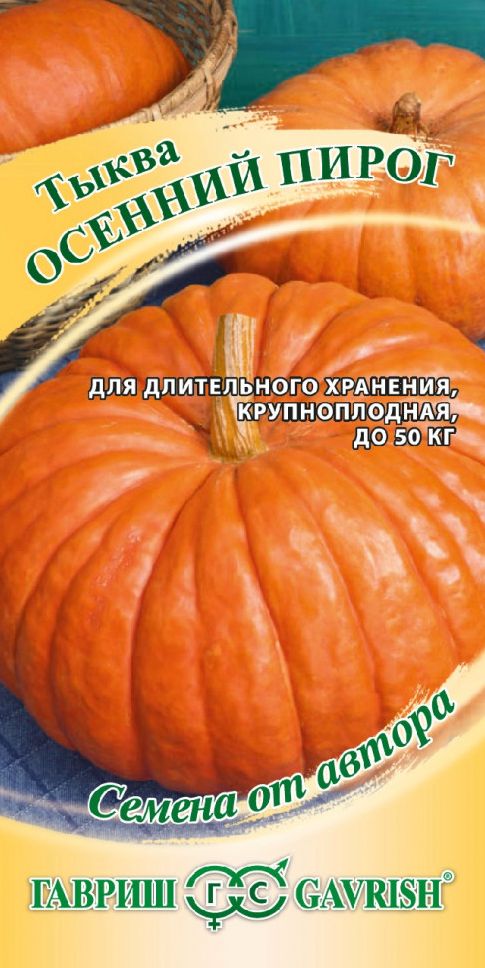 Семена Тыква Осенний пирог (Гавриш)