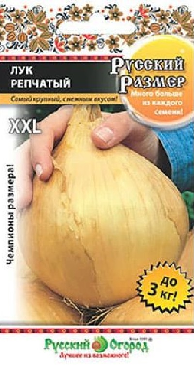 Семена Лук Репчатый РР (НК) 100 шт.