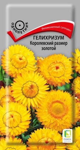 Семена Гелихризум (Поиск) Королевский размер Золотой 0,1г