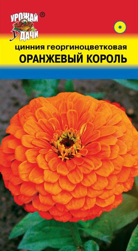 Семена Цинния (Урожай Удачи) Оранжевый король