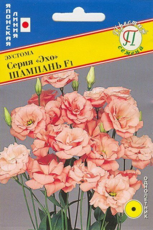 Семена Эустома (Престиж) Эхо Шампань 10шт
