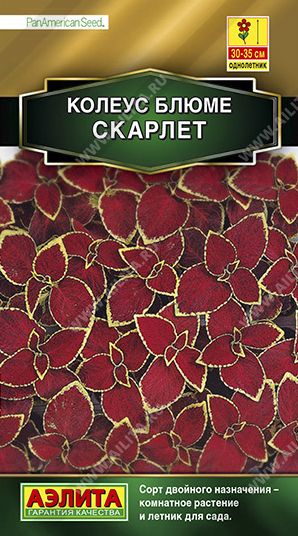 Семена Колеус (Аэлита) Скарлет 5шт
