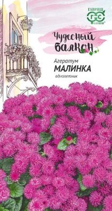 Семена Агератум (Гавриш) Малинка 0,05гр