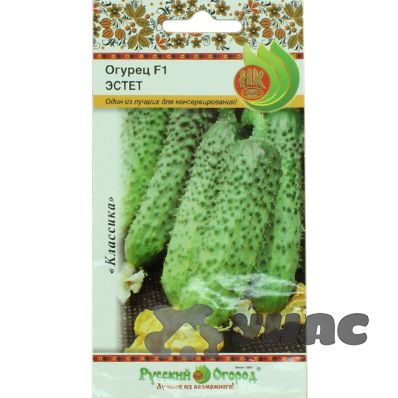 Семена Огурец Эстет (НК)