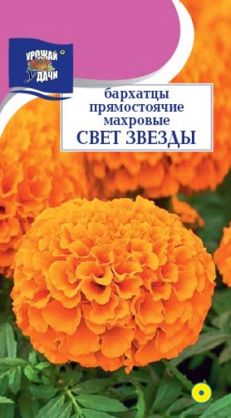 Семена Бархатцы Свет звезды (Урожай Удачи) махр. 0,2г