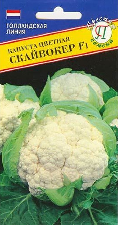 Семена Капуста Скайвокер (Престиж) цветная