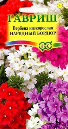 Семена Вербена (Гавриш) Нарядный бордюр 0,05г