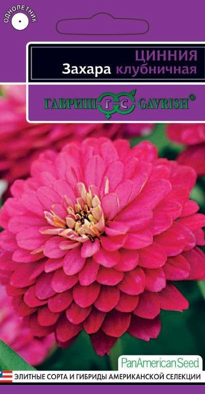 Семена Цинния (Гавриш) Захара клубничная 5шт