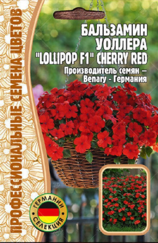 Семена Бальзамин Уоллера Леденец Вишнево-красный (Lollipop Cherry Red)(Редкие Семена) 5шт
