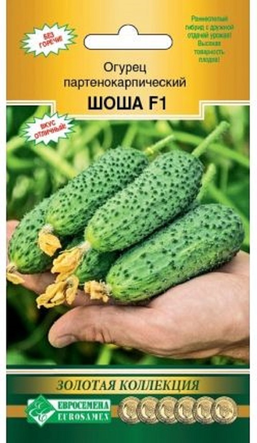 Семена Огурец Шоша (Eurosamen) 5шт
