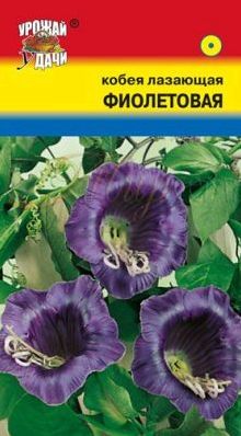 Семена Кобея (Урожай Удачи) фиолетовая 0,3гр.