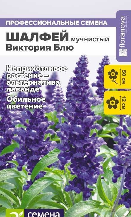 3718127117cc9626cbc25e894224e849