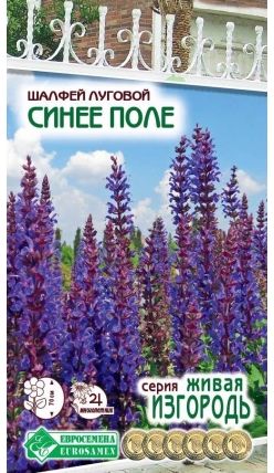 Семена Шалфей (Eurosamen) Синее поле  0,1г