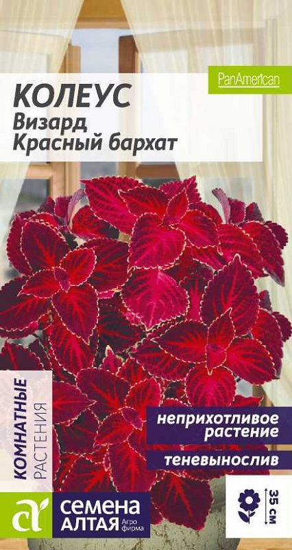 Семена Колеус (Семена Алтая) Визард Красный бархат 5шт