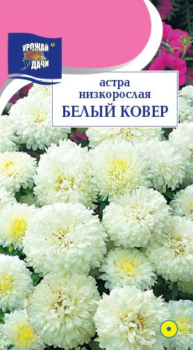 Семена Астра Белый ковер (Урожай Удачи) 0,2г