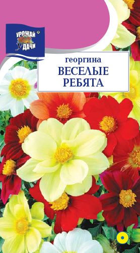 Семена Георгина (Урожай Удачи) Веселые ребята с 0,2грмесь