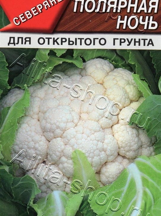 398e8f31dca53021689b69f0521b118d