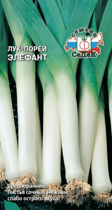Семена Лук Элефант (Седек) порей 1гр