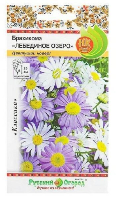 Семена Брахикома (НК) Лебединое озеро