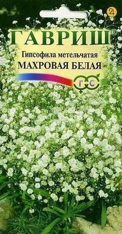 Семена Гипсофила (Гавриш) Махровая белая