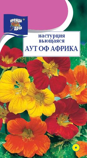 Семена Настурция (Урожай Удачи) Аут оф Африка 1,5гр.