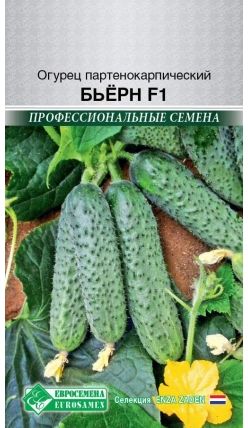 Семена Огурец Бьерн (Eurosamen) 5шт