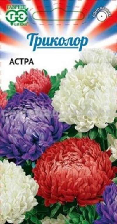 Семена Астра (Гавриш) Принцесса Триколор смесь