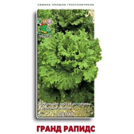 Семена Салат Гранд Рапидс (Поиск) 1гр