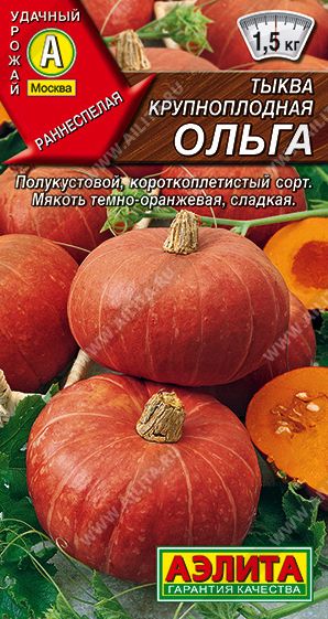Семена Тыква Ольга (Аэлита) 2г