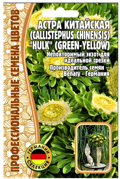 Семена Астра Халк зелено-желтый ( green-yellow) (Редкие Семена) 5шт