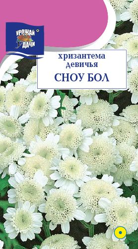 Семена Хризантема (Урожай Удачи) Сноу Бол 0,05г
