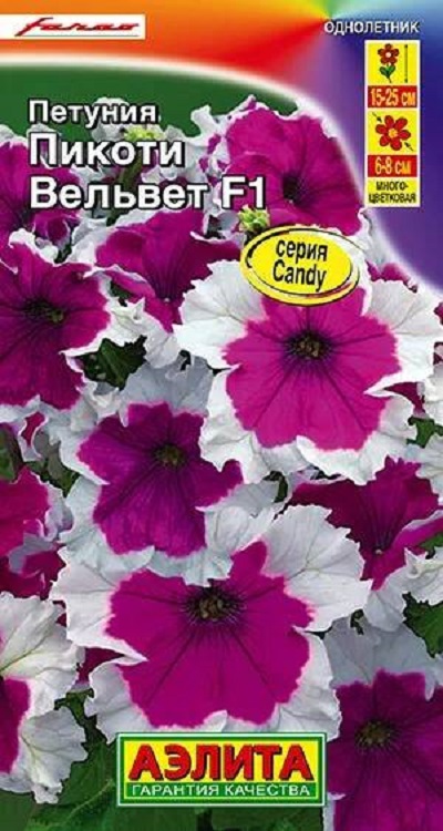 Семена Петуния Пикоти (Аэлита) Вельвет 7шт