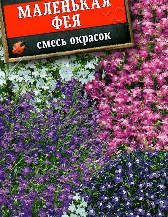 41290332c3c469e70a1957605cbe78c6
