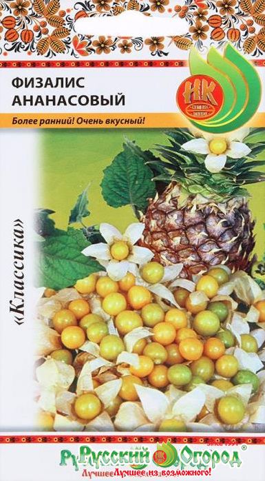 Семена Физалис Ананасовый (НК) 20 шт.