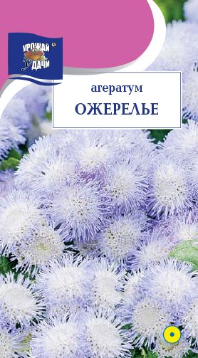 Семена Агератум (Урожай Удачи) Ожерелье