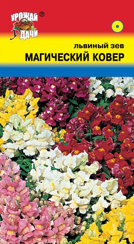 Семена Львиный зев (Урожай Удачи) Магический ковер