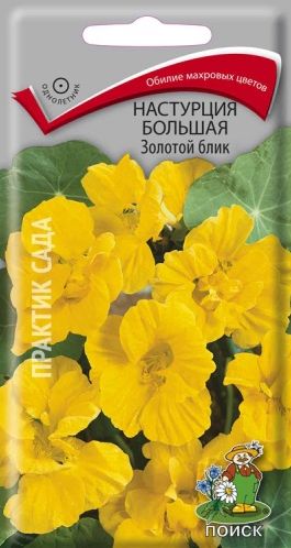 Семена Настурция (Поиск) Золотой блик 1гр