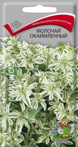 Семена Молочай (Поиск) Окаймленный 0,2гр