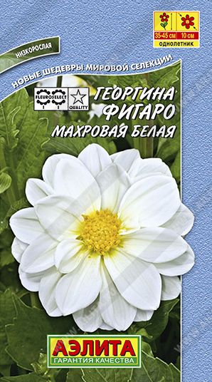 Семена Георгина (Аэлита) Фигаро белая 7шт