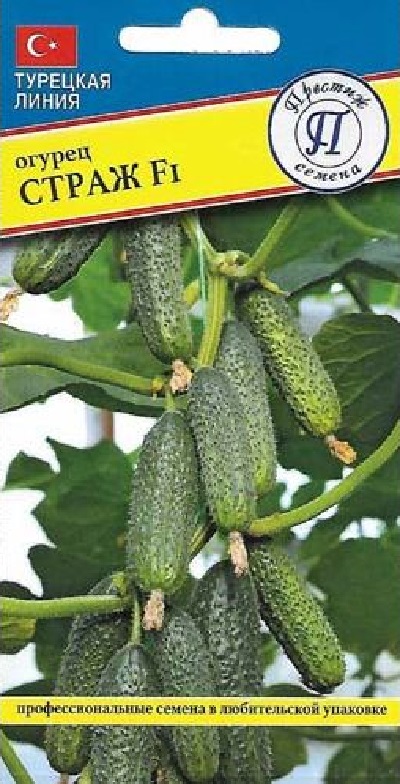 Семена Огурец Страж (Престиж) 5шт