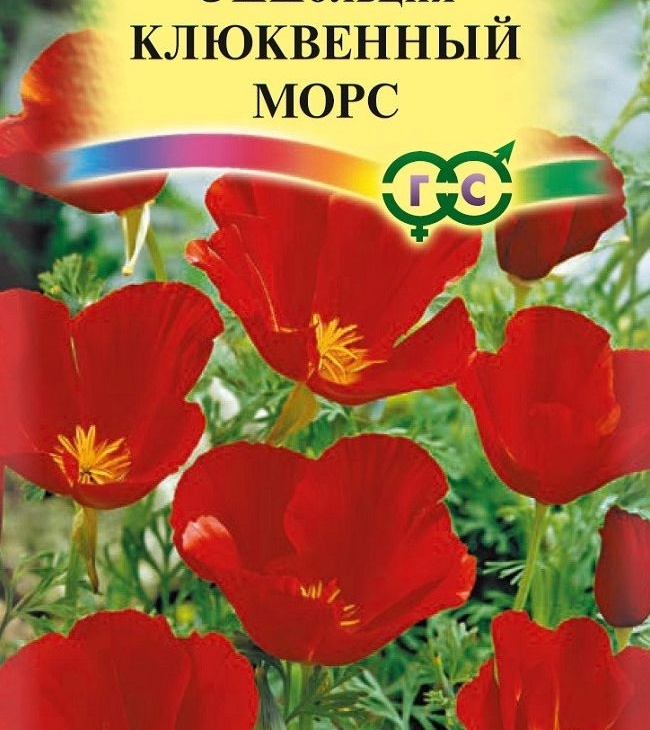 469a1c60e0e0667ff3708a8fdae1abbc