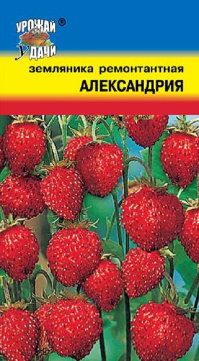 Семена Земляника Александрия (Урожай Удачи) 0,04гр.
