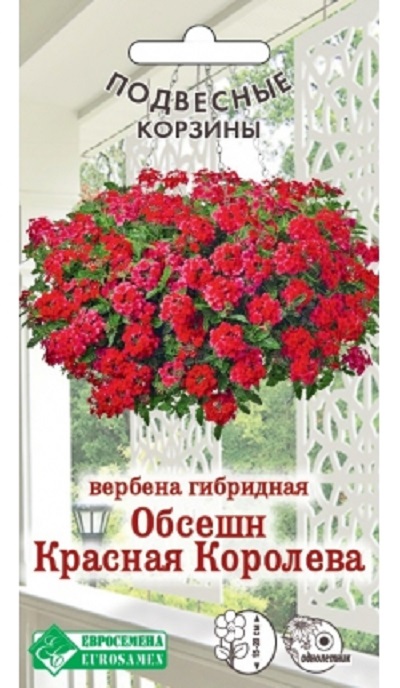 Семена Вербена (Eurosamen) Обсешн Красная королева 5шт