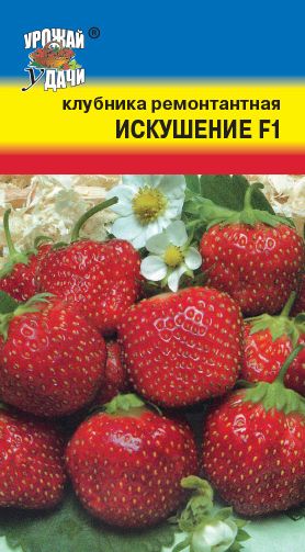 Семена Клубника Искушение (Урожай Удачи)